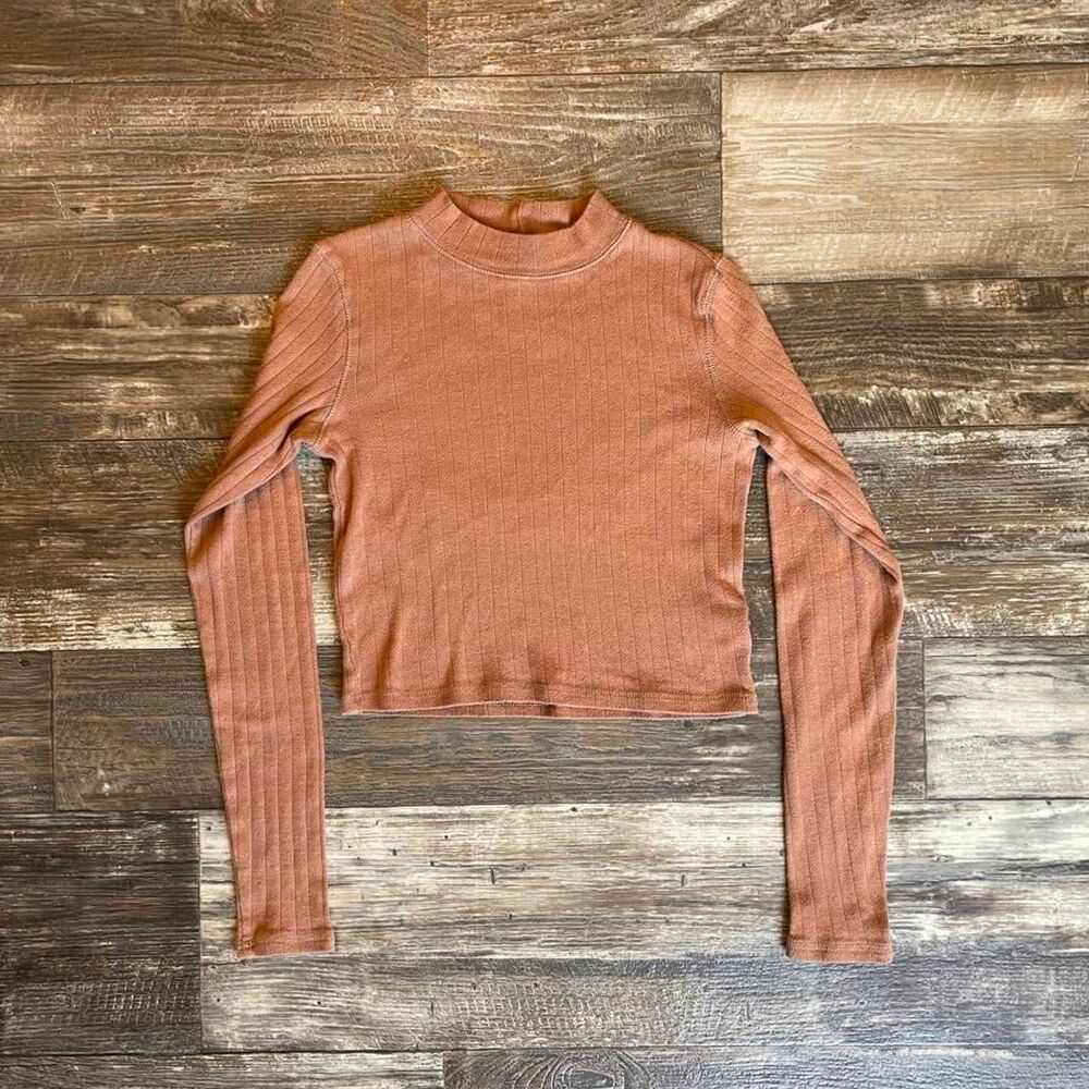 American Eagle Outfitters brown ribbed mock neck long sleeve top